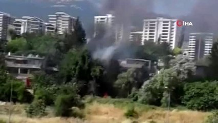 Zeytinlikte çıkan yangın korkuttu