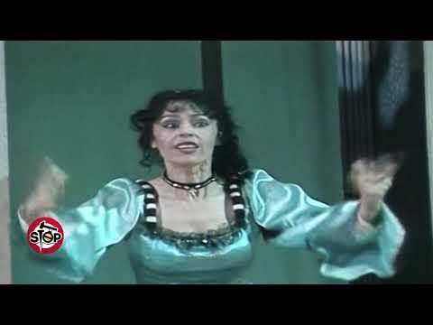 Stop-Dashuria e Metës për qentë. (10.07.2019)