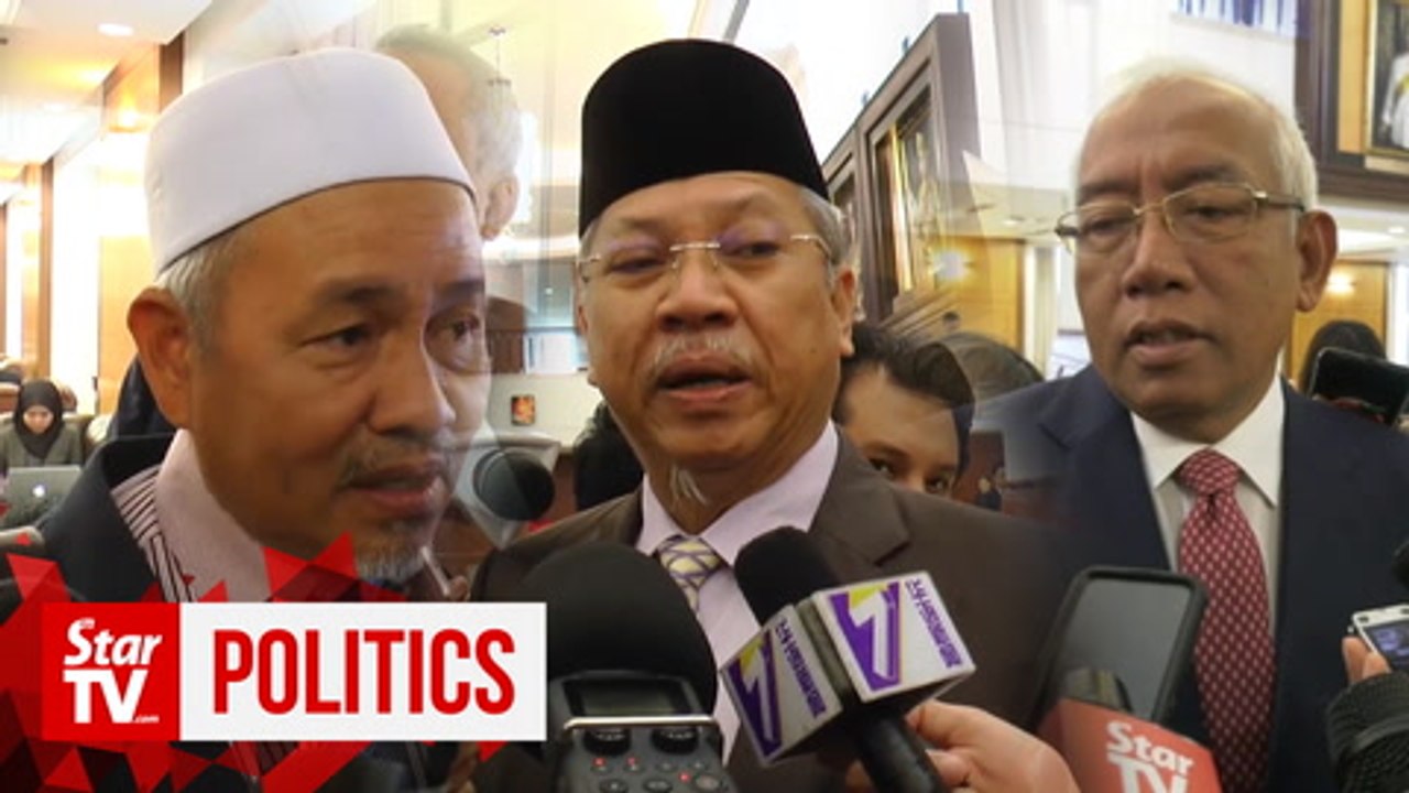 Umno, PAS leaders weigh in on Najib's appoinment as BN's top advisor