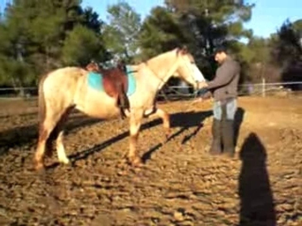 Ebauche de pas espagnol