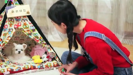 동안출장안마 -후불100%ョØ7ØA7575A0069｛카톡CC6969｝ 동안전지역출장안마 동안오피걸 동안출장마사지 동안안마 동안출장마사지 동안콜걸샵◐▤▥