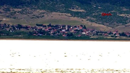 ANTALYA Flamingoların gölü kurudu