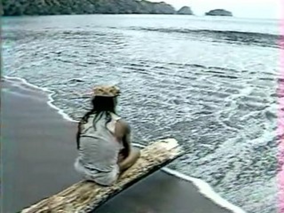 Day to day with Amadeo - Edition 1985