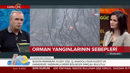 Orman yangınları nasıl çıkıyor?