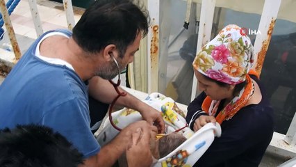 Çeşme'de 133 göçmen ölüme yolculukta yakalandı