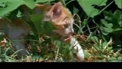 기흥구출장안마 -후불100%ョØ1ØE7685E6221｛카톡MGM1472｝ 기흥구전지역출장안마 기흥구오피걸 기흥구출장마사지 기흥구안마 기흥구출장마사지 기흥구콜걸샵ЭЮЯ