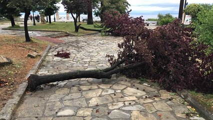 Αυτοψία του euronews στον τόπο της καταστροφής