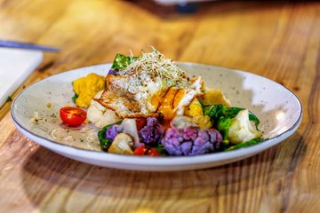 4 substituts aux protéines animales