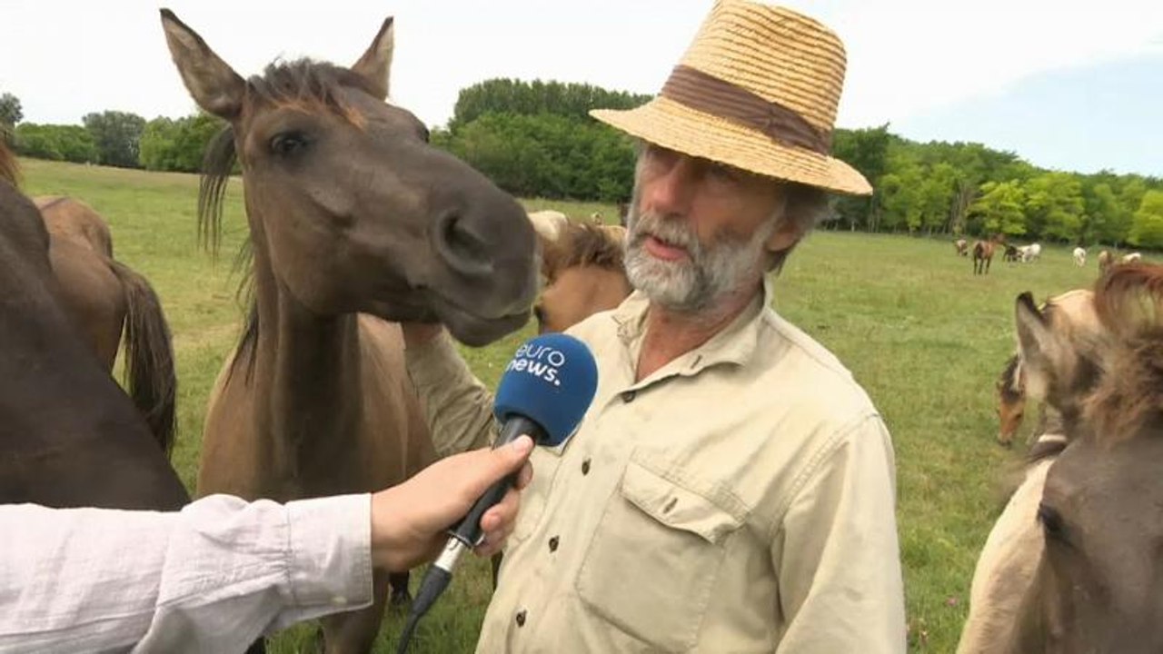 "Ansiedad climática": el cambio climático ya afecta a nuestra salud mental