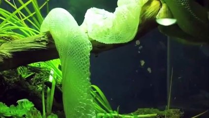 사천출장안마 -후불100%ョØ7ØE7575E0069｛카톡RD654｝ 사천전지역출장안마 사천오피걸 사천출장마사지 사천안마 사천출장마사지 사천콜걸샵œßþ