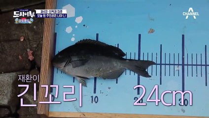 오늘 밤 주인공은 나야 나♬♪ 최재환이 긴꼬리 잡자마자 27cm로 1위 재탈환하는 경규ㅋㅋㅋ