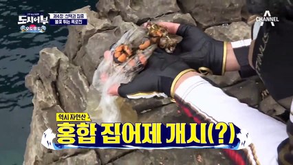 ※특명! 일반 벵에돔을 잡아야 한다※ 힘차게 움직이는 경규의 초릿대, 과연 그 정체는?!