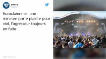 Les Eurockéennes de Belfort. Deux plaintes pour viol déposées lors du festival