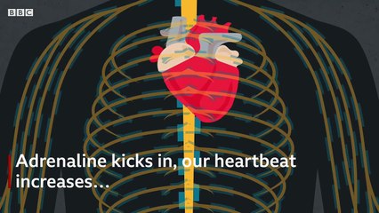 Why you can't fake a blush - BBC News