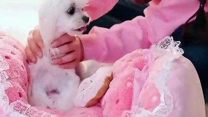 임실출장안마 -후불100%ョØ7ØE7575E0069｛카톡RD654｝ 임실전지역출장안마 임실오피걸 임실출장마사지 임실안마 임실출장마사지 임실콜걸샵ЪЫЬ