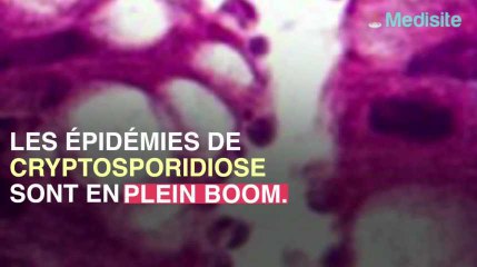 Méfiez-vous du cryptosporidium, un parasite qui envahit les piscines