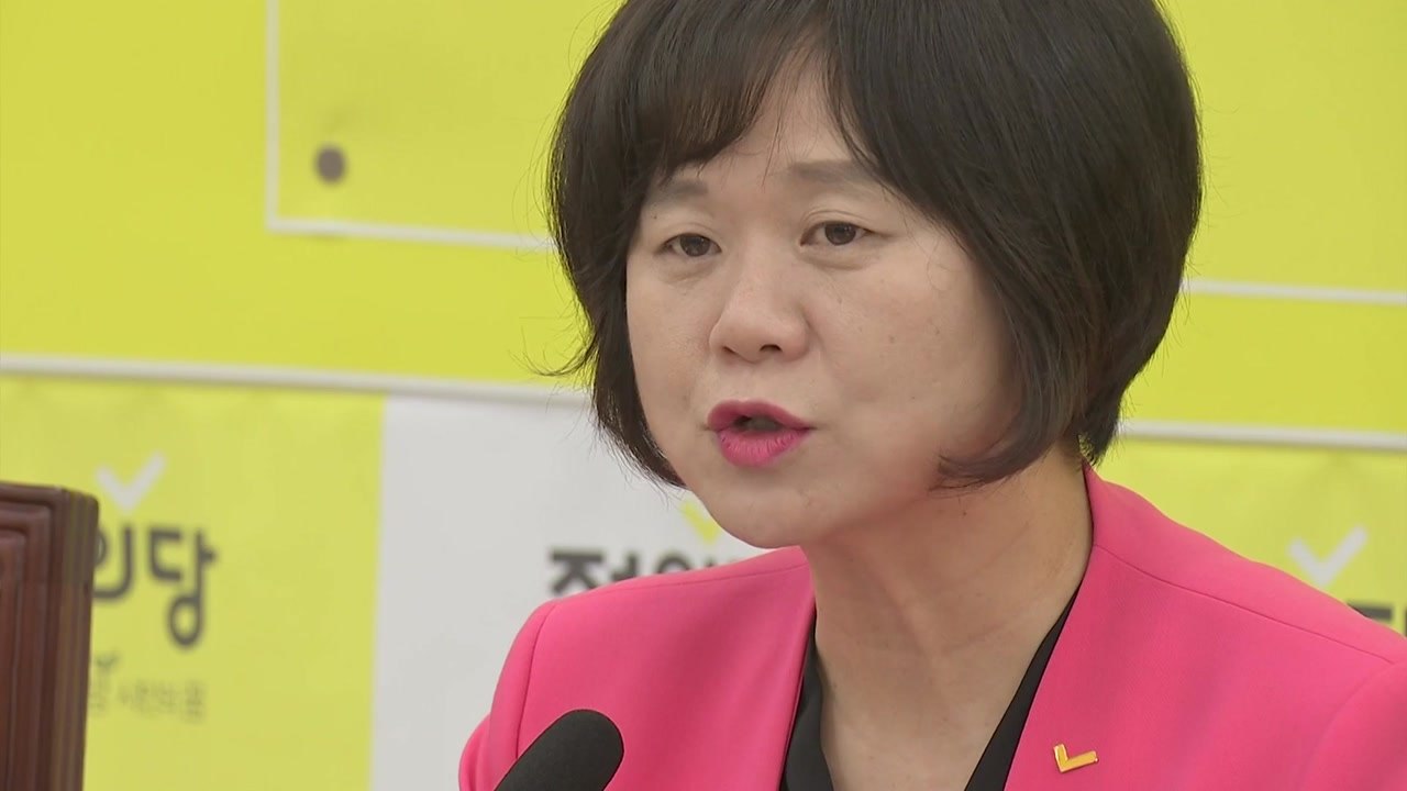 이정미 "민주당, 정개특위 제대로 못 하면 개혁 다 놓칠 것" / YTN