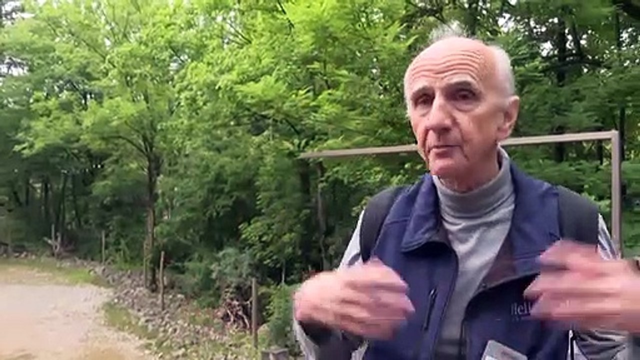 Schwule Affen und lesbische Giraffen