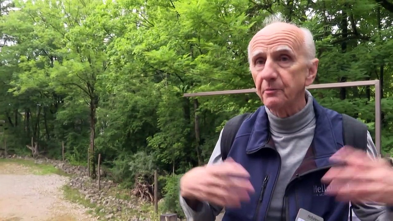 Schwule Affen und lesbische Giraffen