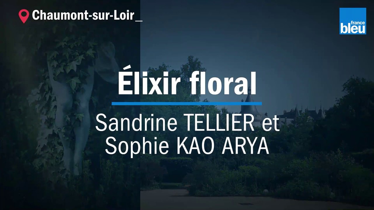 Festival des Jardins 2019 : Élixir floral, Sandrine TELLIER et Sophie KAO ARYA