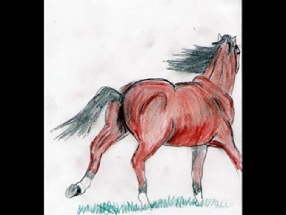 Les leçons de toto master