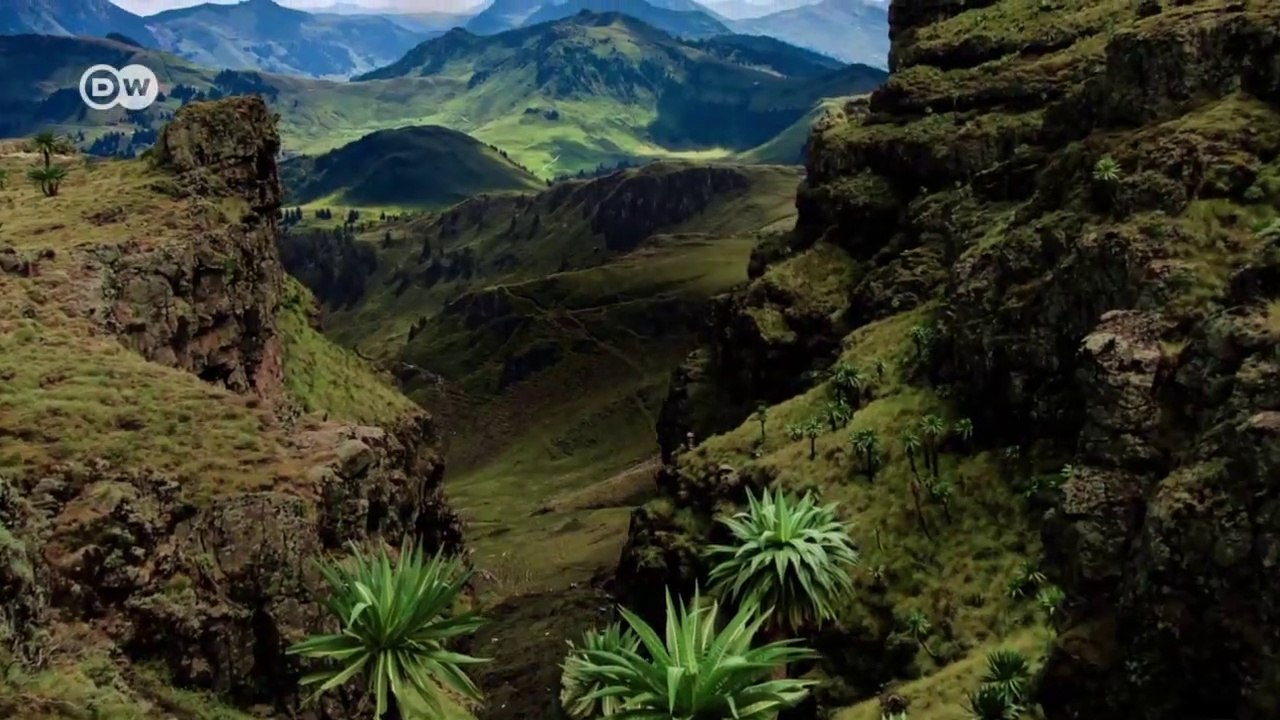 SECRETOS de Tombuctú -NATGEO,DOCUMENTAL,VIDEO,DOCUMENTALES 2019,DOCUMENTALES NUEVOS,DOCUMENTARIES