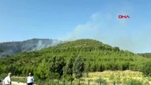 Fethiye'de ormanlık alanda yangın çıktı