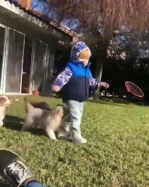 Ce bébé est chanceux ! Il reçoit pleins de câlins d'adorables chiots