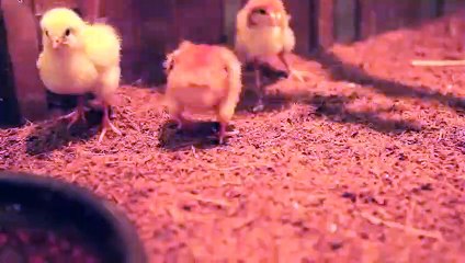 상무출장안마 -후불100%ョØ1ØE7362E3210｛카톡BB5858｝ 상무전지역출장안마 상무오피걸 상무출장마사지 상무안마 상무출장마사지 상무콜걸샵▨¶