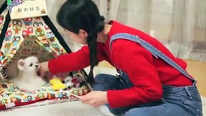 전주출장안마 -후불100%ョØ1ØE7685E6221｛카톡PP888｝ 전주전지역출장안마 전주오피걸 전주출장마사지 전주안마 전주출장마사지 전주콜걸샵∏∨⇔