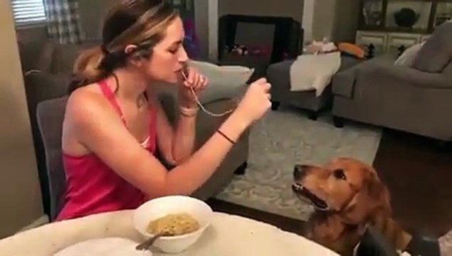 Trop Mignon ! Regardez la complicité touchante entre cette chienne et sa maîtresse !