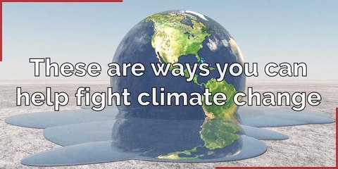These are ways you can help fight climate change