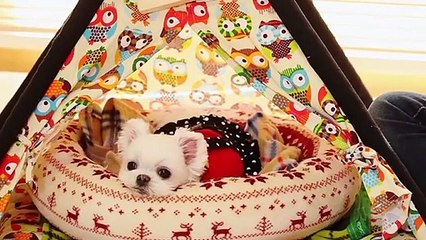 대천출장안마 -후불100%ョØ1ØE2659E1768｛카톡KP93｝ 대천전지역출장안마 대천오피걸 대천출장마사지 대천안마 대천출장마사지 대천콜걸샵きぎく