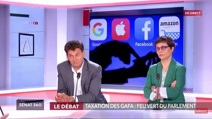 Public Sénat - Débat sur la Taxe Gafa - le 11 juillet 2019