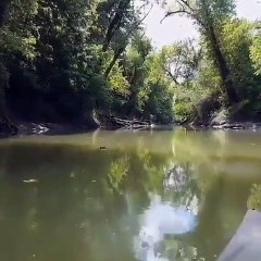 Ce serpent n'apprécie pas les visiteurs dans sa rivière. Regardez ce qu'il fait !