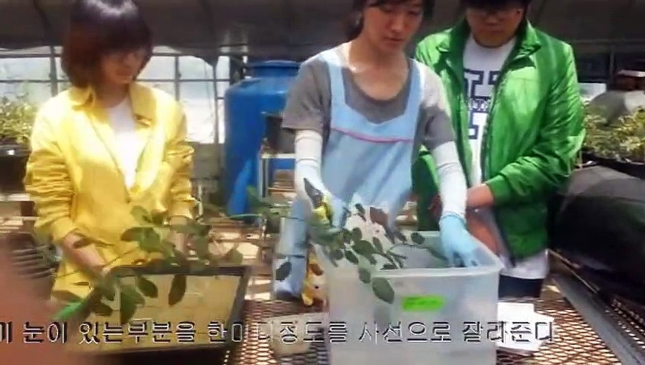 가평출장안마 -후불100%ョØ7ØE7575E0062｛카톡DK654｝ 가평전지역출장안마 가평오피걸 가평출장마사지 가평안마 가평출장마사지 가평콜걸샵◑