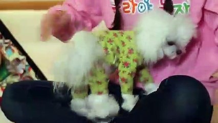 부여출장안마 -후불100%ョØ1ØE7685E6221｛카톡MGM1472｝ 부여전지역출장안마 부여오피걸 부여출장마사지 부여안마 부여출장마사지 부여콜걸샵∏∨⇔