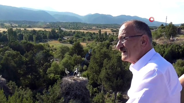 Başkan Bayındır: 'Beyşehir leylek cenneti konumuna büründü'