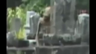 Mysterious Alien spotted in a graveyard | Alien mystérieux repéré dans un cimetière |  Geheimnisvoller Ausländer beschmutzt auf einem Friedhof