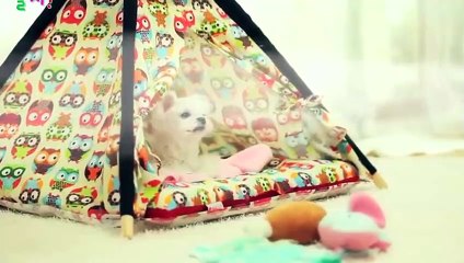 영동출장안마 -후불100%ョØ1ØE8109E5900｛카톡OYO78｝ 영동전지역출장안마 영동오피걸 영동출장마사지 영동안마 영동출장마사지 영동콜걸샵ヮワヰ