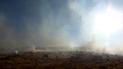 Siirt'te fıstık bahçesi ve buğday tarlasında yangın