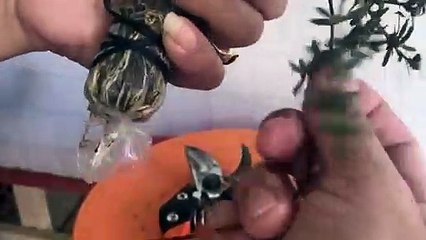 덕양구출장안마 -후불100%ョØ7ØE7301E9649｛카톡LA25｝ 덕양구전지역출장안마 덕양구오피걸 덕양구출장마사지 덕양구안마 덕양구출장마사지 덕양구콜걸샵опр