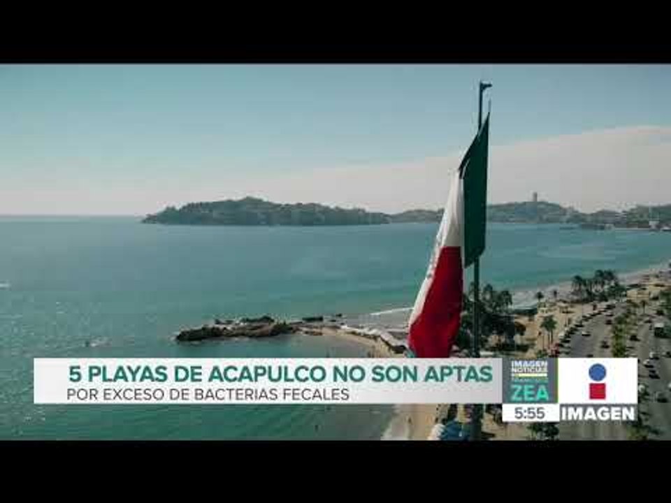 5 playas de Acapulco no son aptas por exceso de bacterias fecales | Noticias con Francisco Zea