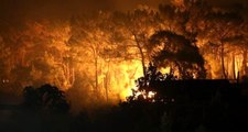 Son Dakika! Bakan Pakdemirli, Muğla'daki yangınla ilgili son durumu paylaştı: Söndürme çalışmaları devam ediyor