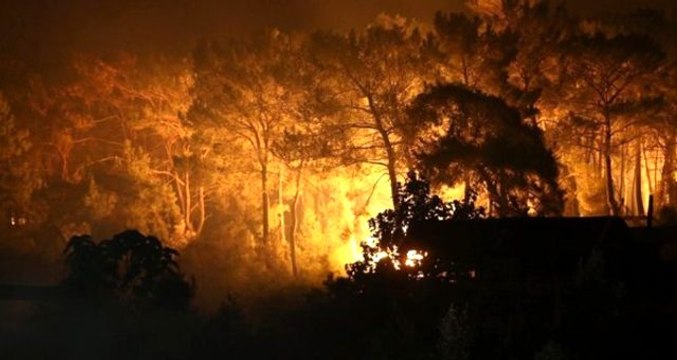 Son Dakika! Bakan Pakdemirli, Muğla'daki yangınla ilgili son durumu paylaştı: Söndürme çalışmaları devam ediyor
