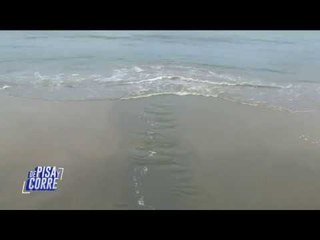 Crece presencia de sargazo en Playa Vicente de Oaxaca | De Pisa y Corre