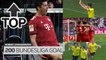 Bundesliga: Robert Lewandowski, all goals