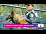 No pondrán en adopción a los perritos de la Unidad Canina de la Policía Federal | Yuriria Sierra