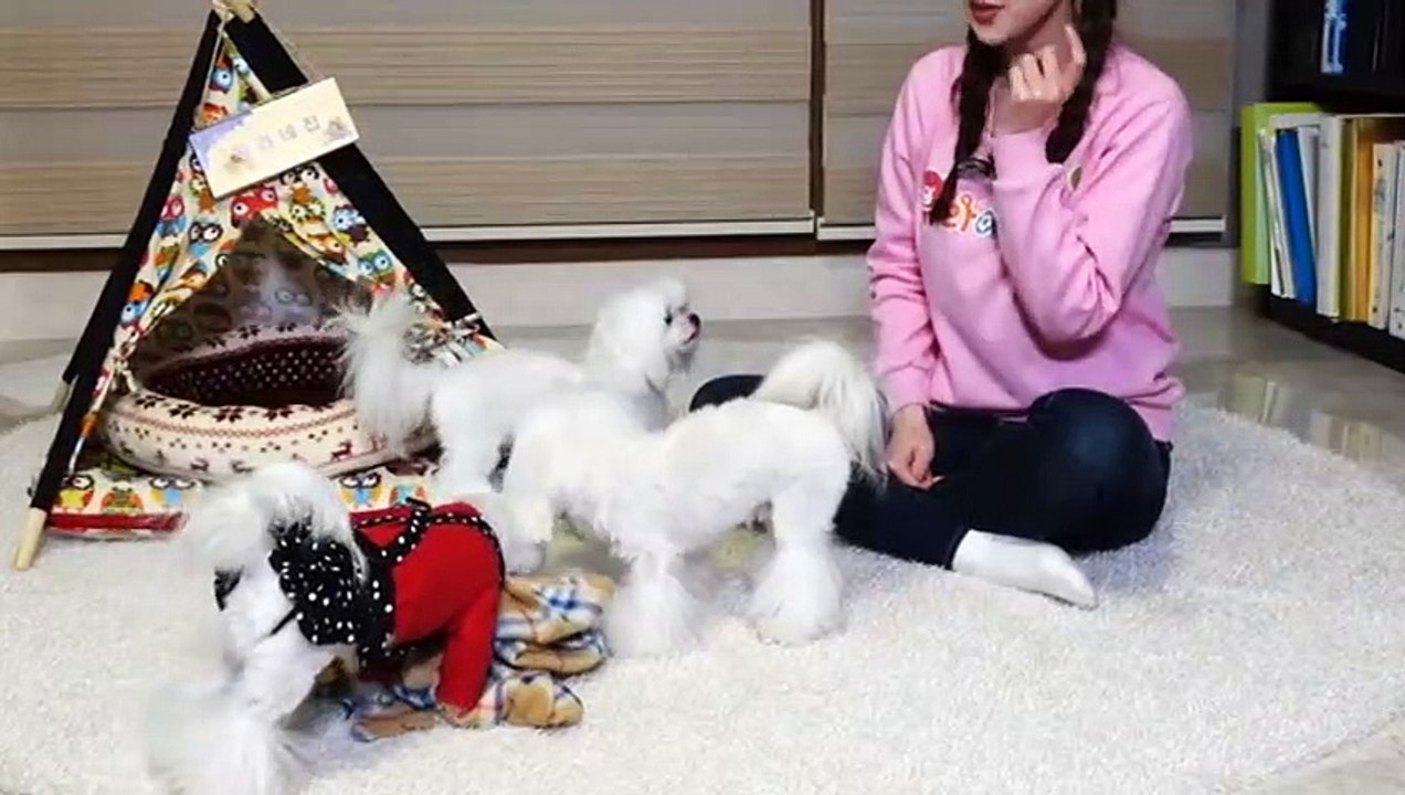 해운대출장안마 -후불100%ョØ7ØE7575E0069｛카톡RD654｝ 해운대전지역출장안마 해운대오피걸 해운대출장마사지 해운대안마 해운대출장마사지 해운대콜걸샵こごさ