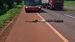 Au brésil il faut faire attention aux anacondas qui traversent la route...